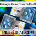 Kamagra Gelée Orale Sildénafil viagra5